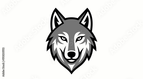 Stylized grey wolf head illustration with a fierce expression, facing forward, suitable for a mascot or logo design.
