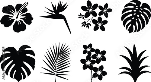 Tropical flower and leaf silhouettes vector set, hibiscus, monstera, palm frond, orchid, bird of paradise botanical icons collection