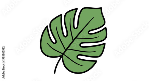 Large green leaf with holes.