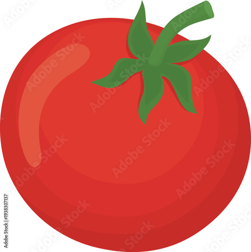 Red whole tomato isolated on white background. Illustration with ripe fresh vegetable