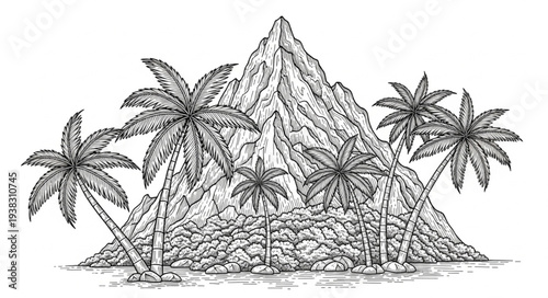 palm tree silhouette