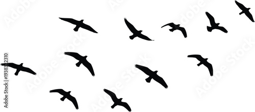 A flock of birds flying in a v formation against a white sky