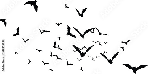 Flock of birds in flight on white background