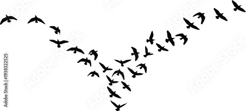 Flock of birds flying in a v formation against a white sky