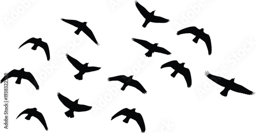 Flock of birds in flight formation