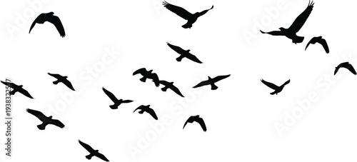 A flock of birds flying in formation against a white background