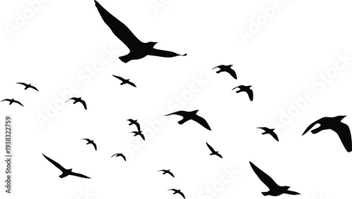 A flock of birds flying in formation against a white background