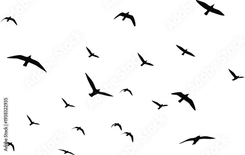 A flock of birds in flight against a white background