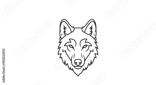 Line Drawing of Wolf Head Illustration.