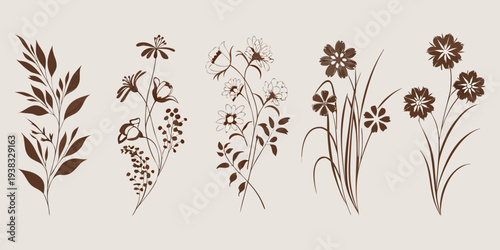A collection of delicate hand drawn floral illustrations in sepia tones