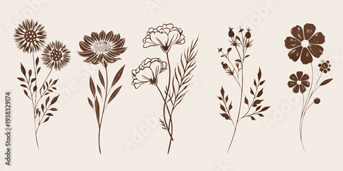 Vintage botanical illustration featuring a variety of sketched wildflowers