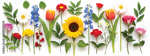 Colorful Flowers Arrangement on White Background