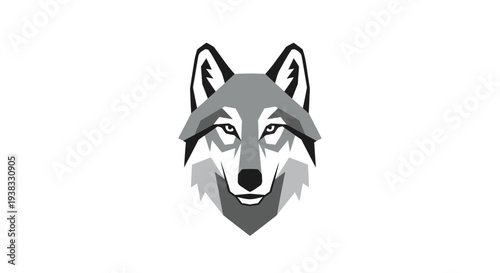 Gray wolf head illustration closeup.