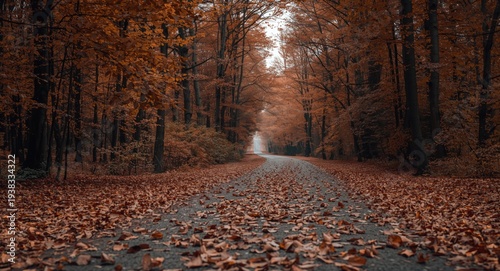 Brown leaves scattered densely along a quiet road