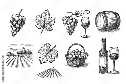 Hand-drawn, sketched wine illustration with grapes, leaves, barrel, bottle, wine glass, and vineyard landscape. Perfect for wine labels, restaurant menus, or themed designs.