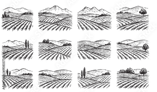 A collection of detailed, black and white vineyard landscapes illustrations, with rolling hills and distant mountains; perfect for wine labels and rural designs.
