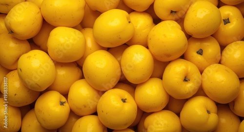 Bright yellow plums freshly collected for a tasty snack