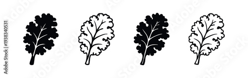Fresh Kale Leaf Icon Set. Healthy Green Vegetable and Superfood Symbol.