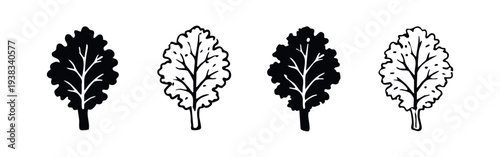 Fresh Lettuce Leaf Icon Set. Healthy Green Vegetable and Salad Ingredient Symbol.