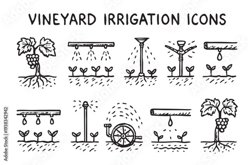 Black and white hand drawn icons illustrate various vineyard irrigation methods on a white background, suitable for agricultural or environmental themed designs.