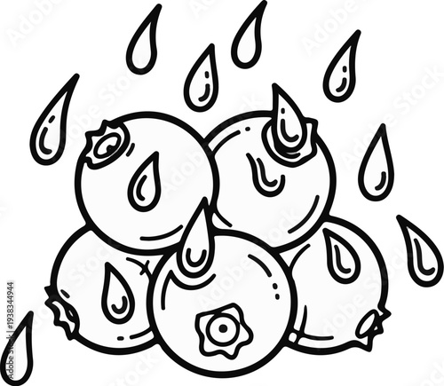 Stylized illustration of a cluster of plump blueberries with water droplets