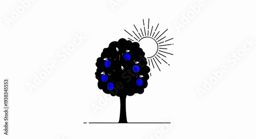 Black plum tree with blue fruits and sun rays