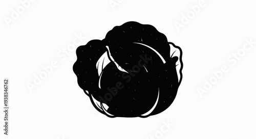 Black and white stylized drawing of a cabbage head on white background