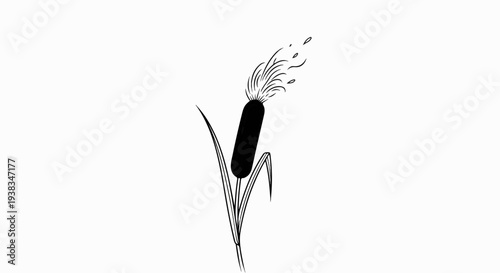Black and white illustration of a cattail plant with blowing seeds