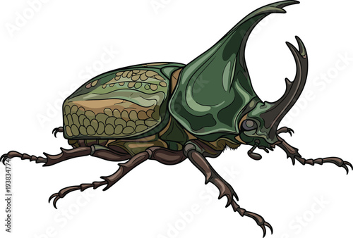 Vector illustration of a Hercules beetle isolated on white background, giant scarab beetle with horns