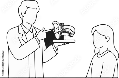Medical professional explains ear anatomy model to attentive patient