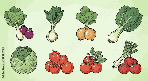 Assortment of Fresh Organic Vegetables Including Cabbage, Onions, and Tomatoes on Light Green Background