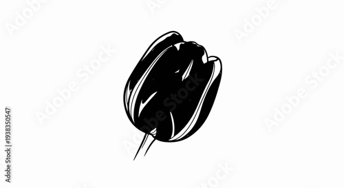 A simple, stylized black outline drawing of a tulip on a white background