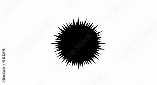 Black spiky orb with sharp, pointed protrusions on a white background