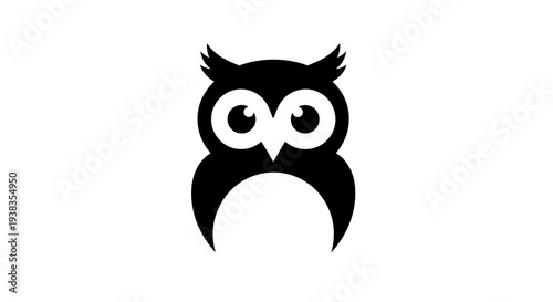 Owl Face Closeup Bird Animal.