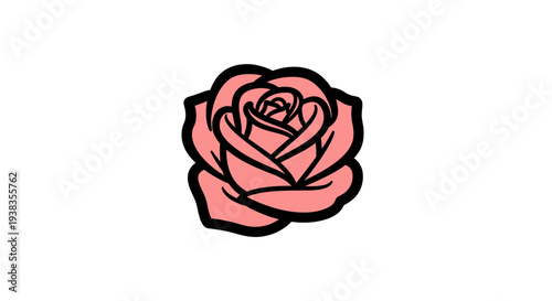 Pink Rose Flower Closeup Illustration.