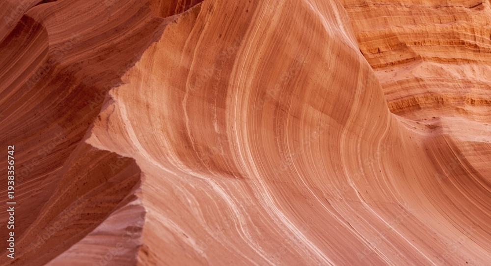 Obraz premium Unique desert rock structure with fine bedrock layers in brown and peach tones closeup