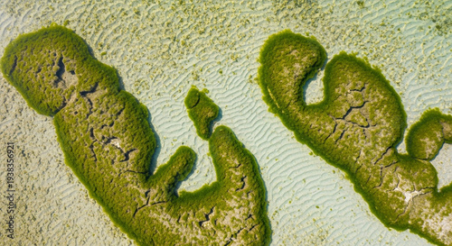 Wallpaper Mural Aerial view of green mossy land formations in a body of water with sandy bottom and no people Torontodigital.ca