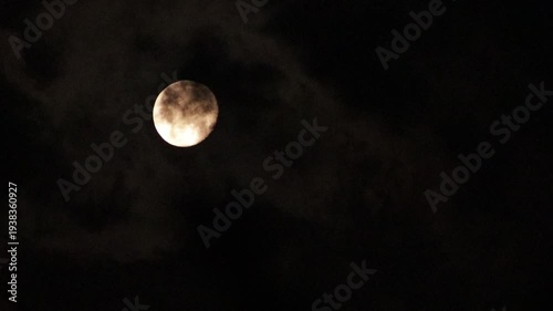 moon in the night