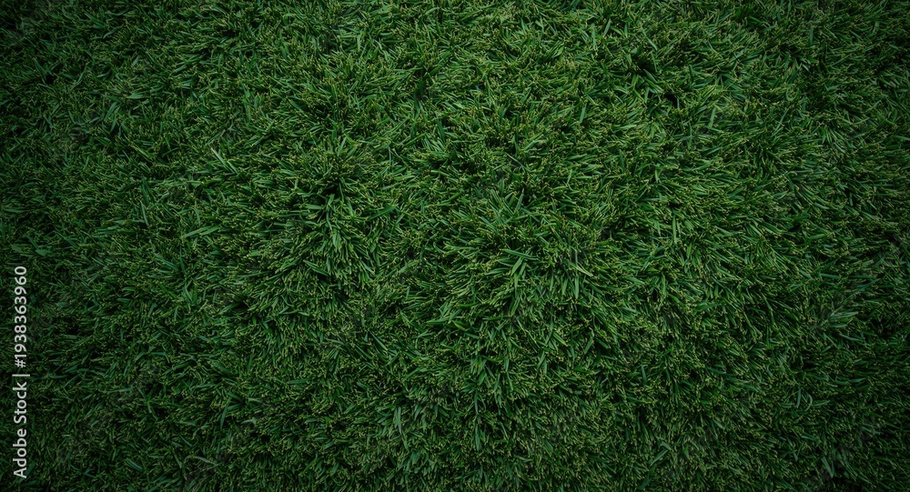 Obraz premium Birds eye angle of synthetic outdoor grass rug with textured surface