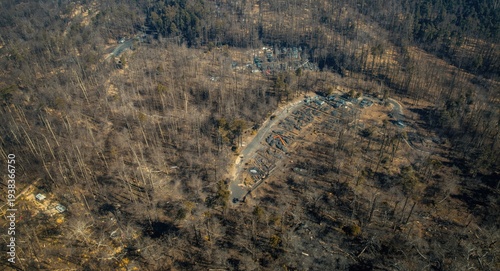 Aerial photograph revealing the extent of wildfire damage to trees