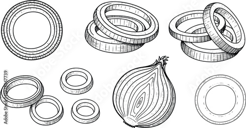 Vintage Engraved Onion Rings and Onion Slice Collection with Vegetable Illustration Set