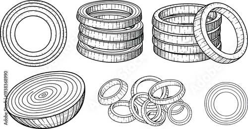 Vintage Engraved Wood Tree Rings and Log Cross Section Texture Illustration Collection