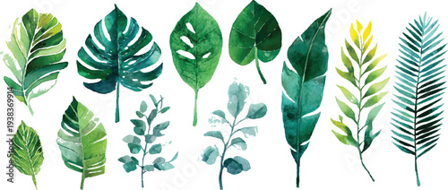 Assorted green leaves and delicate pink and yellow wildflowers in a watercolor style  Collection of diverse green trees with varied shapes and textures in a flat style. Various green trees displayed i