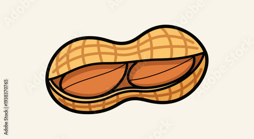 Peanut with Shell Open Showing Kernels Inside.