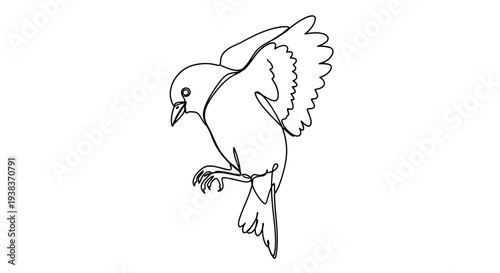 Simple Line Drawing of a Bird in Flight.