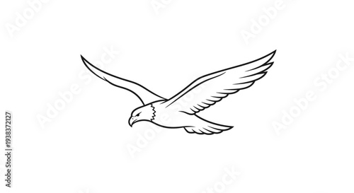 Simple Line Drawing of Flying Seagull Bird.