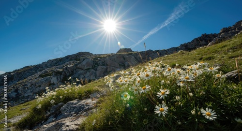 Bright sun shining over ele...