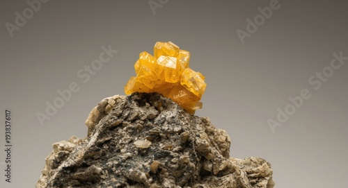 Focused macro capture of a ...