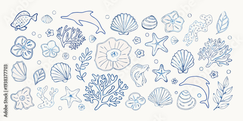 A collection of hand drawn marine life and seashell illustrations