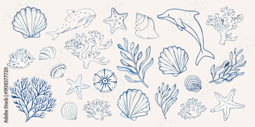 A collection of hand drawn marine life and seashells in blue tones